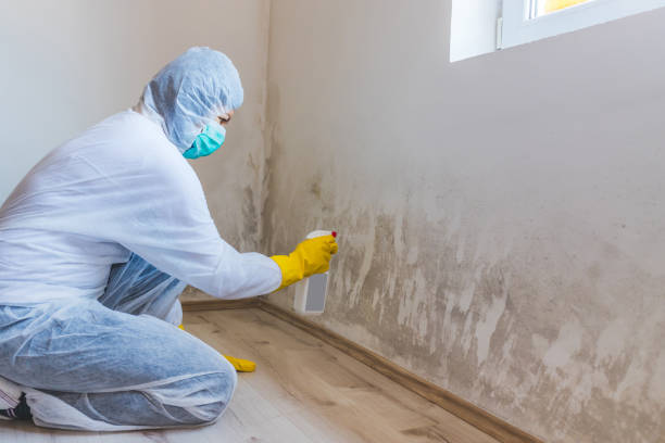 Licensed Commercial Mold Remediation service in Groveland, FL - WQB Mold Removal