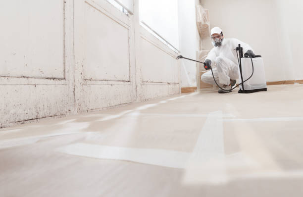 24/7 Emergency Commercial Mold Remediation experts in Groveland, FL
