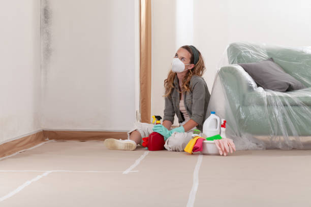 Reliable Commercial Mold Remediation contractor in Groveland, FL by WQB Mold Removal
