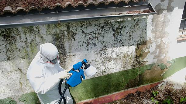 Top rated local Commercial Mold Remediation specialists in Groveland, FL
